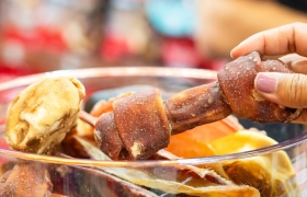 Mastig expõe inovações na Pet South América 2024