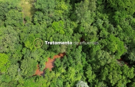 Com investimento milionário, Mast Pet e Mastig aumentarão sua produção neste ano