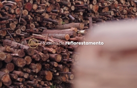 Com investimento milionário, Mast Pet e Mastig aumentarão sua produção neste ano